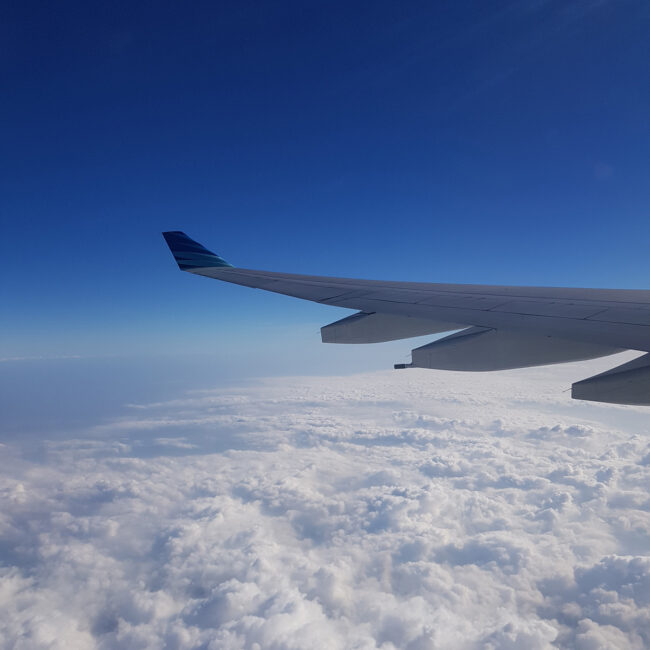 vliegen naar tanzania